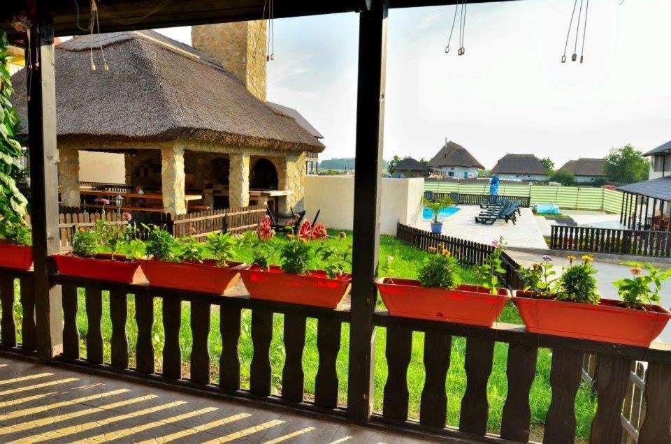 Pensiunea Miasor Hotel Муригьол Екстериор снимка